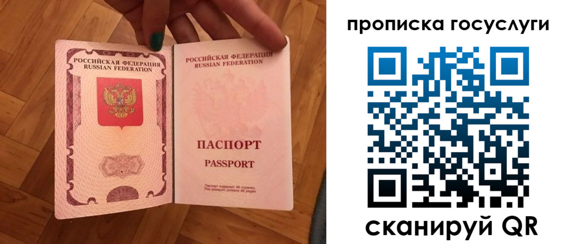 прописка в Пионерском